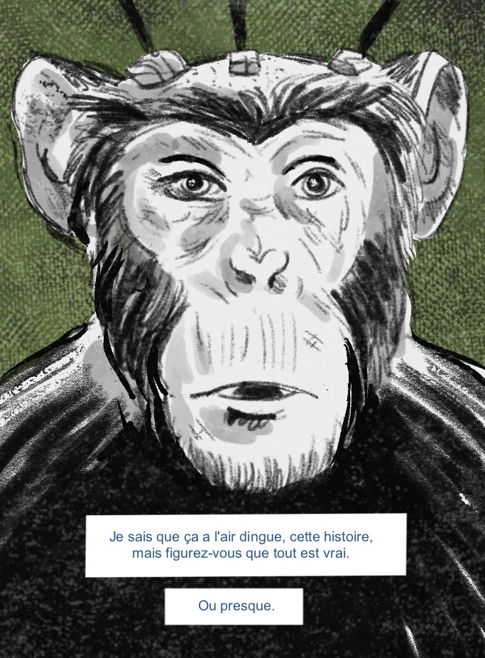 Elon Musk P.1 Clement Bletton